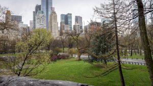 Blick auf die Häuserfront vom Central Park im Süden