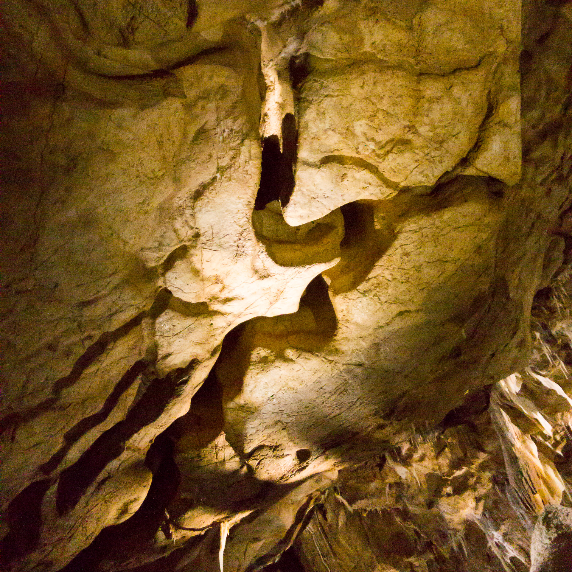Deckenmäander in der Schauhöhle