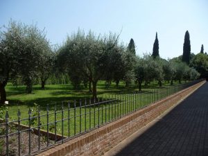 Im Klostergarten von Santissimo Redentore