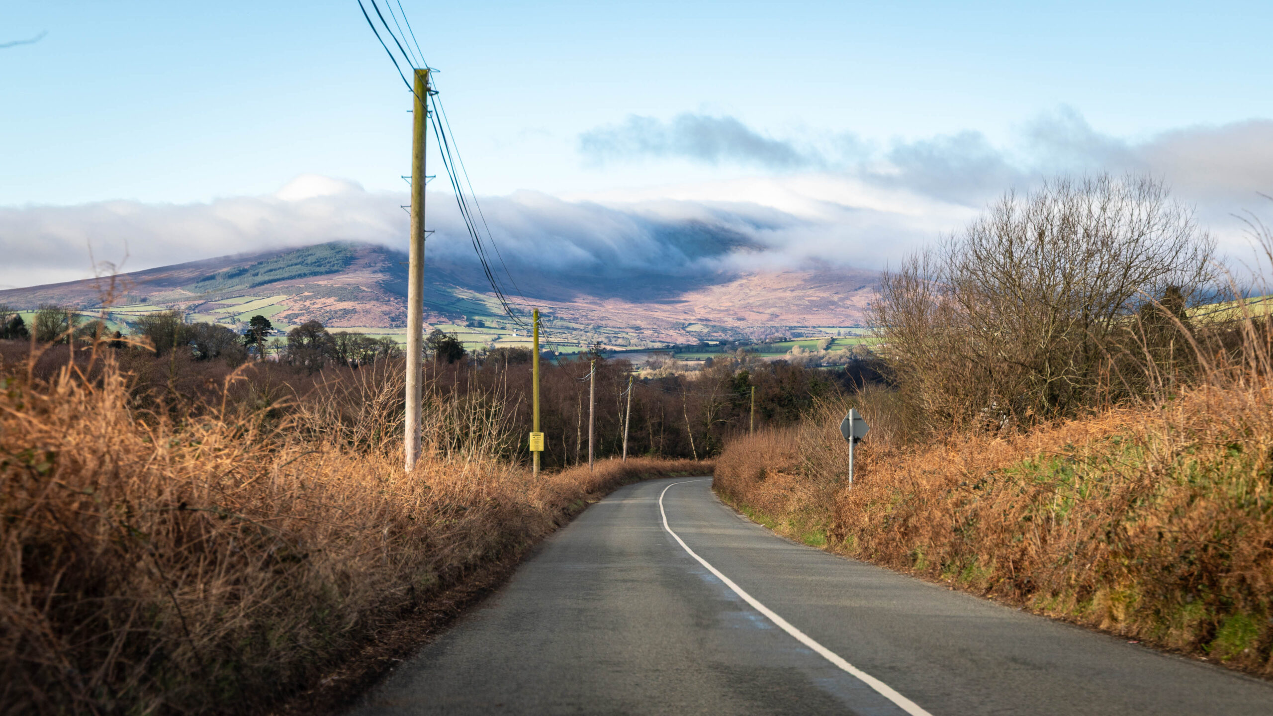 Blick auf den Mount Leinster an der Ostgrenze des Bezirks Wexford