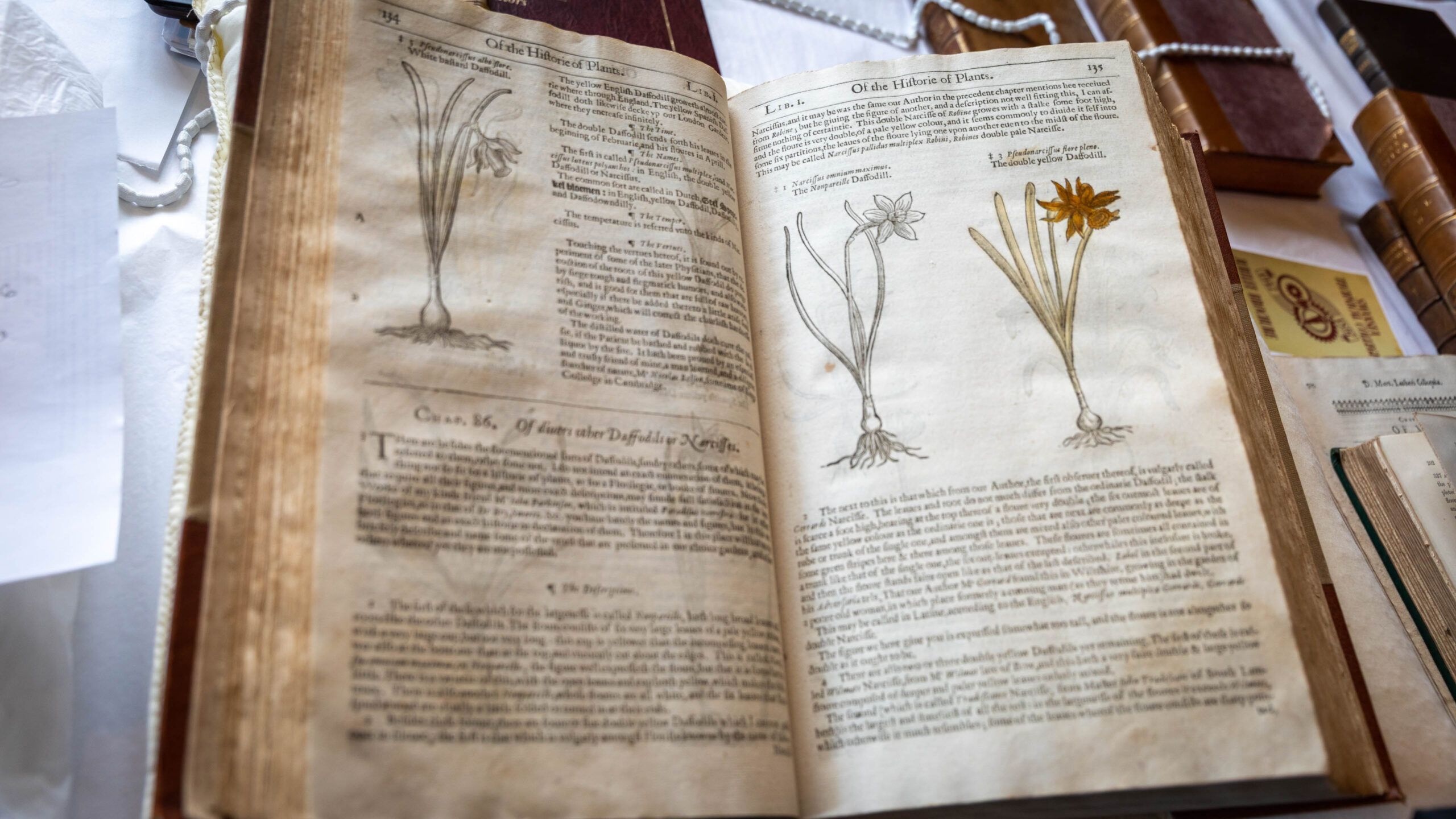 Ein Buch in der Bibliothek von St Davids